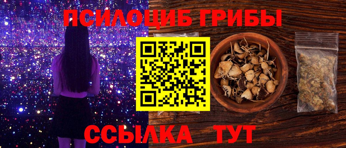 Псилоцибиновые грибы Psilocybine cubensis Гусев