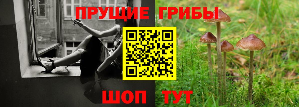 купить наркотики цена  Галлюциногенные грибы прущие грибы  Вход с VPN  Гусев 